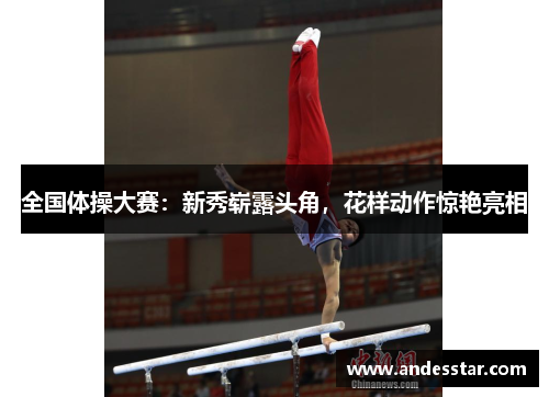 全国体操大赛：新秀崭露头角，花样动作惊艳亮相